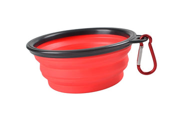 Folding Silicone Bowl